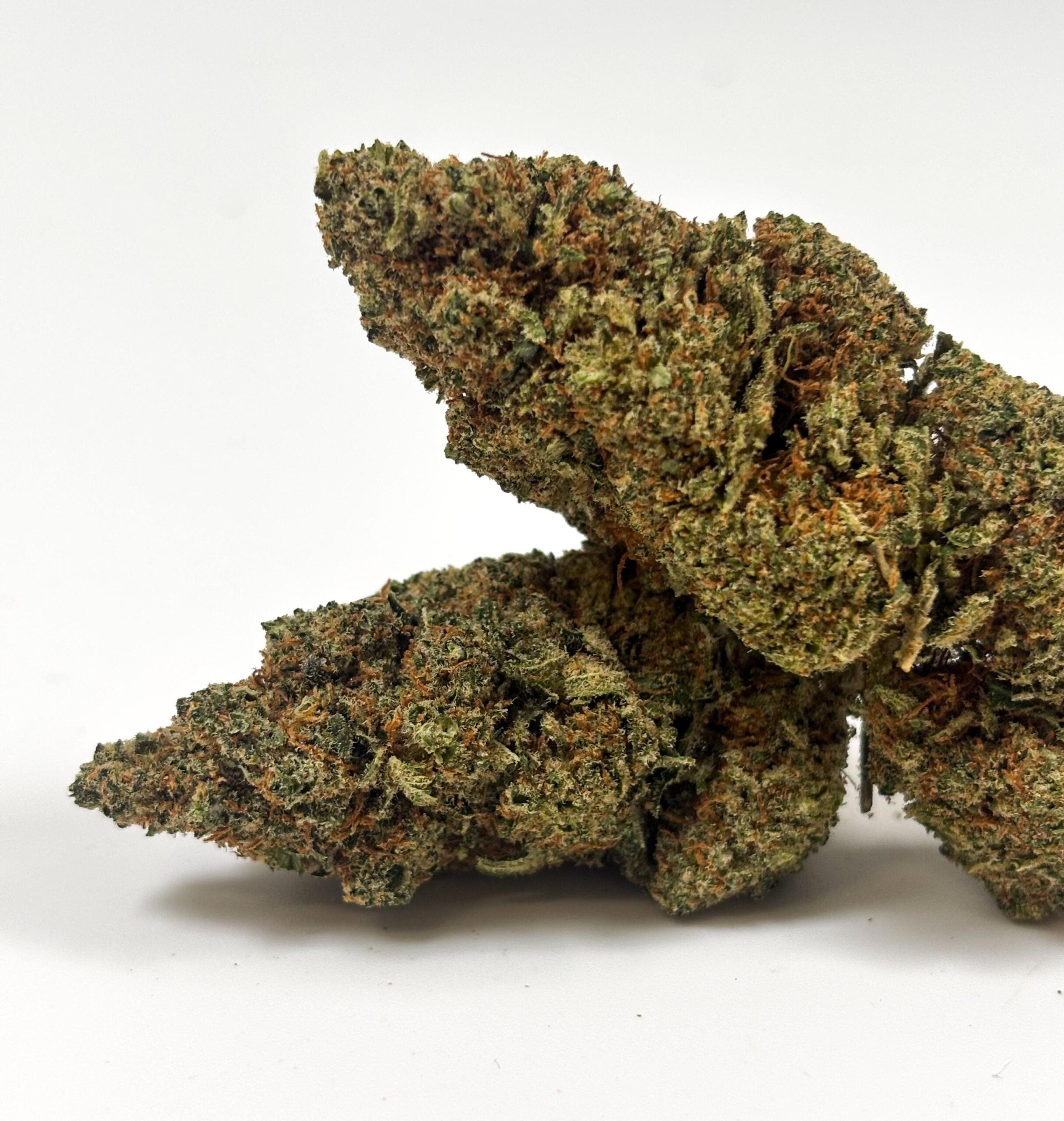 Citrus Kush – Indoor Hydroponique