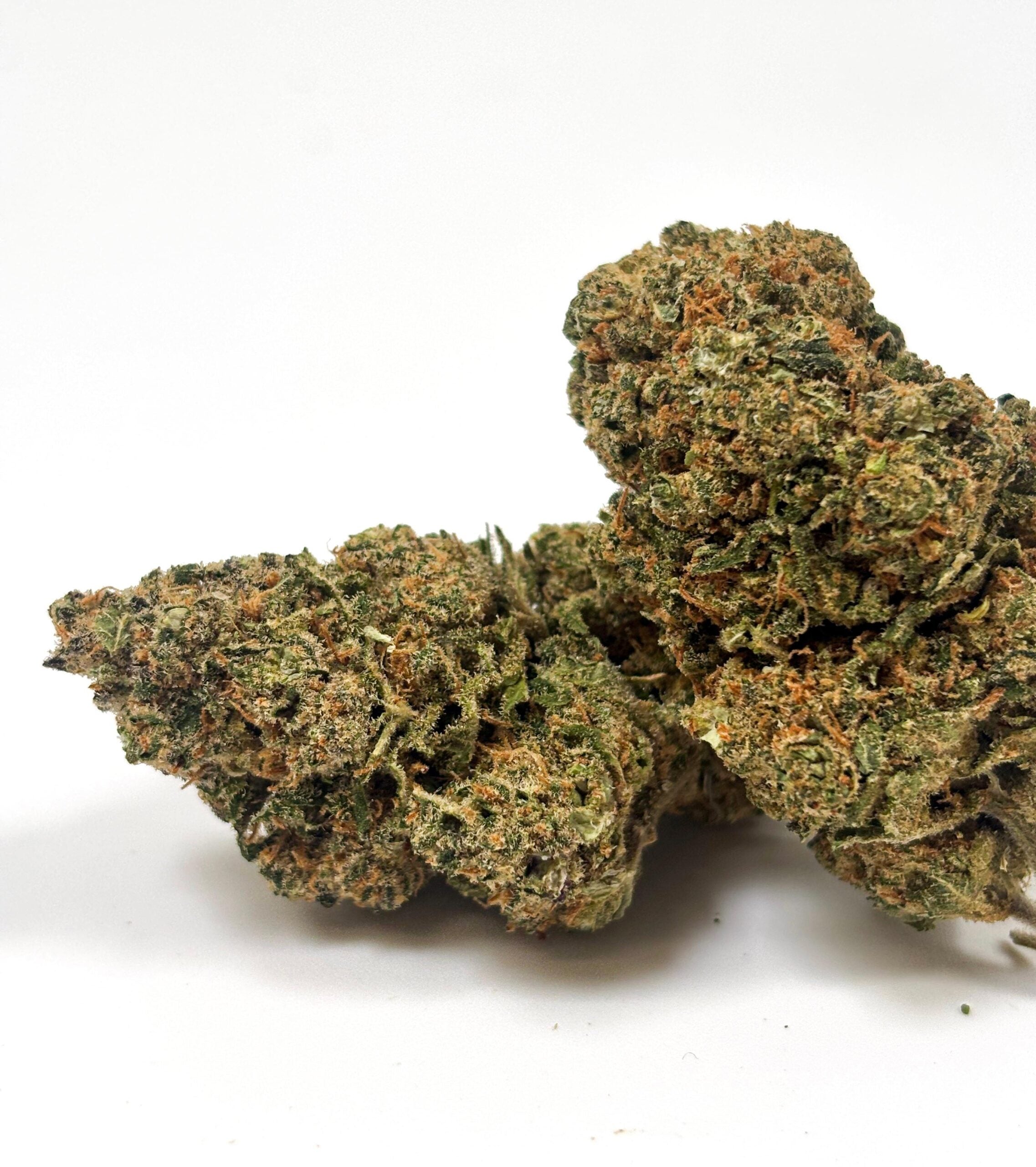 Runtz - Indoor Hydroponique