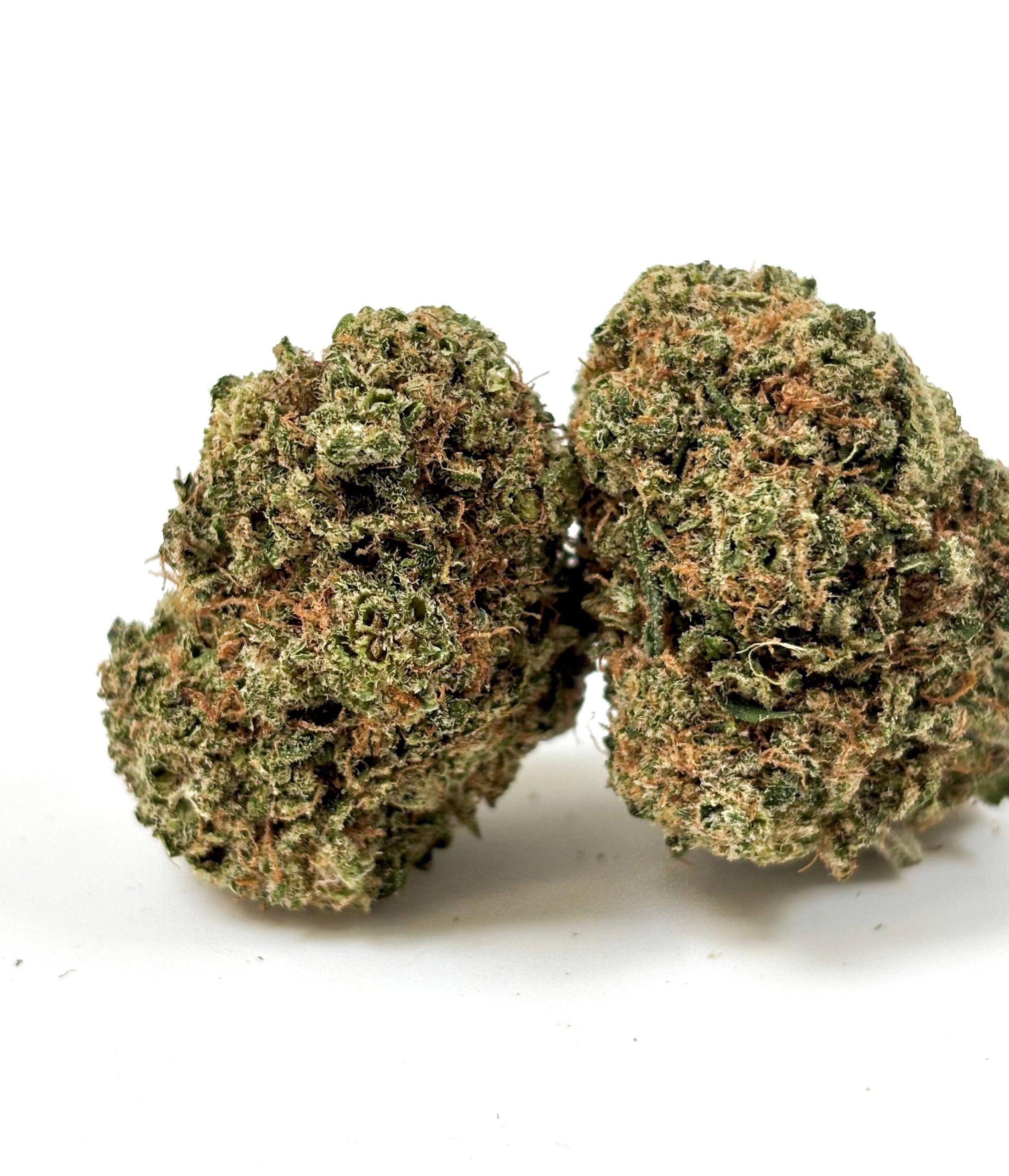 Lemon Zkittlez - Indoor Hydroponique