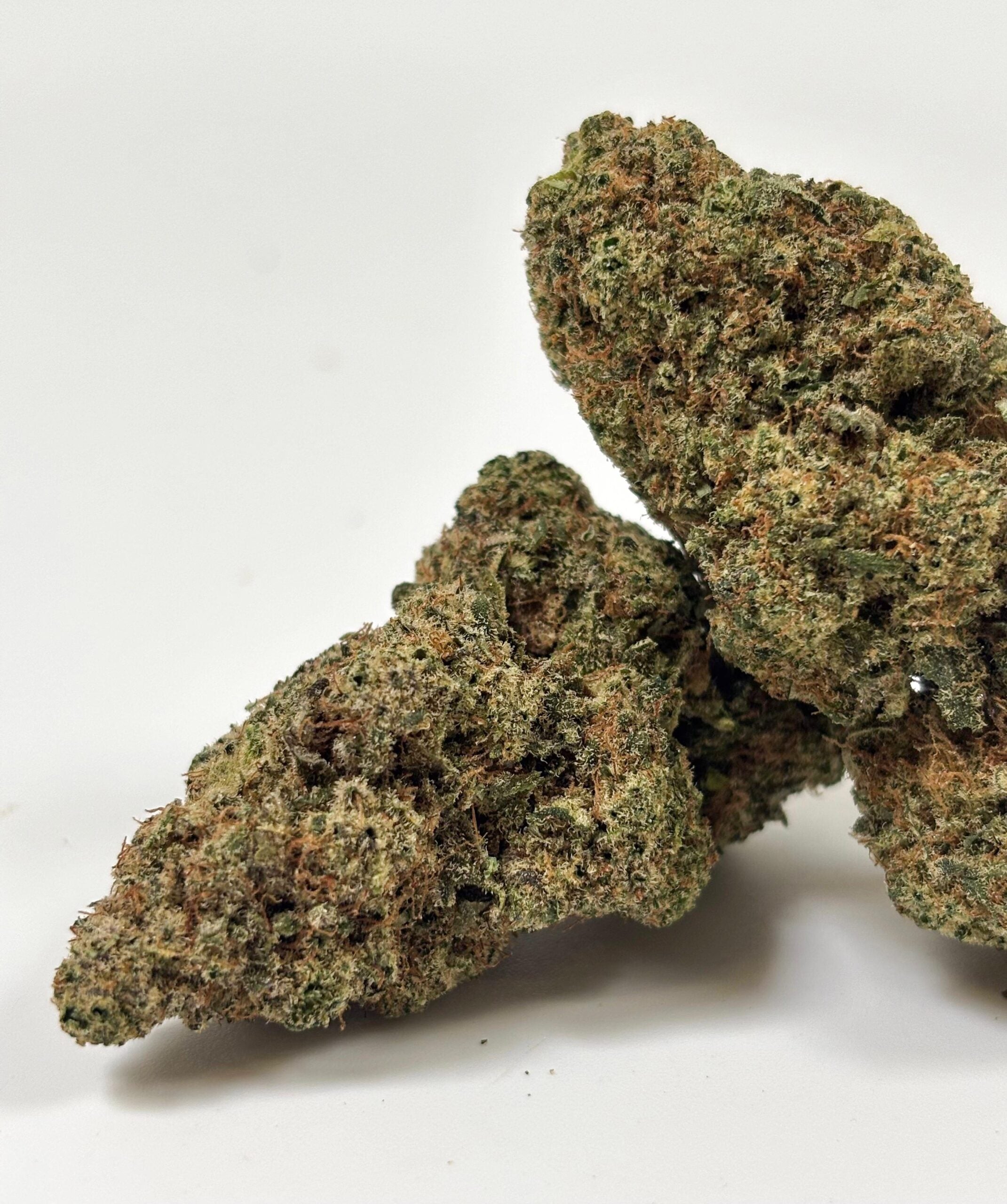 Rainbow X GP3 - Indoor Hydroponique