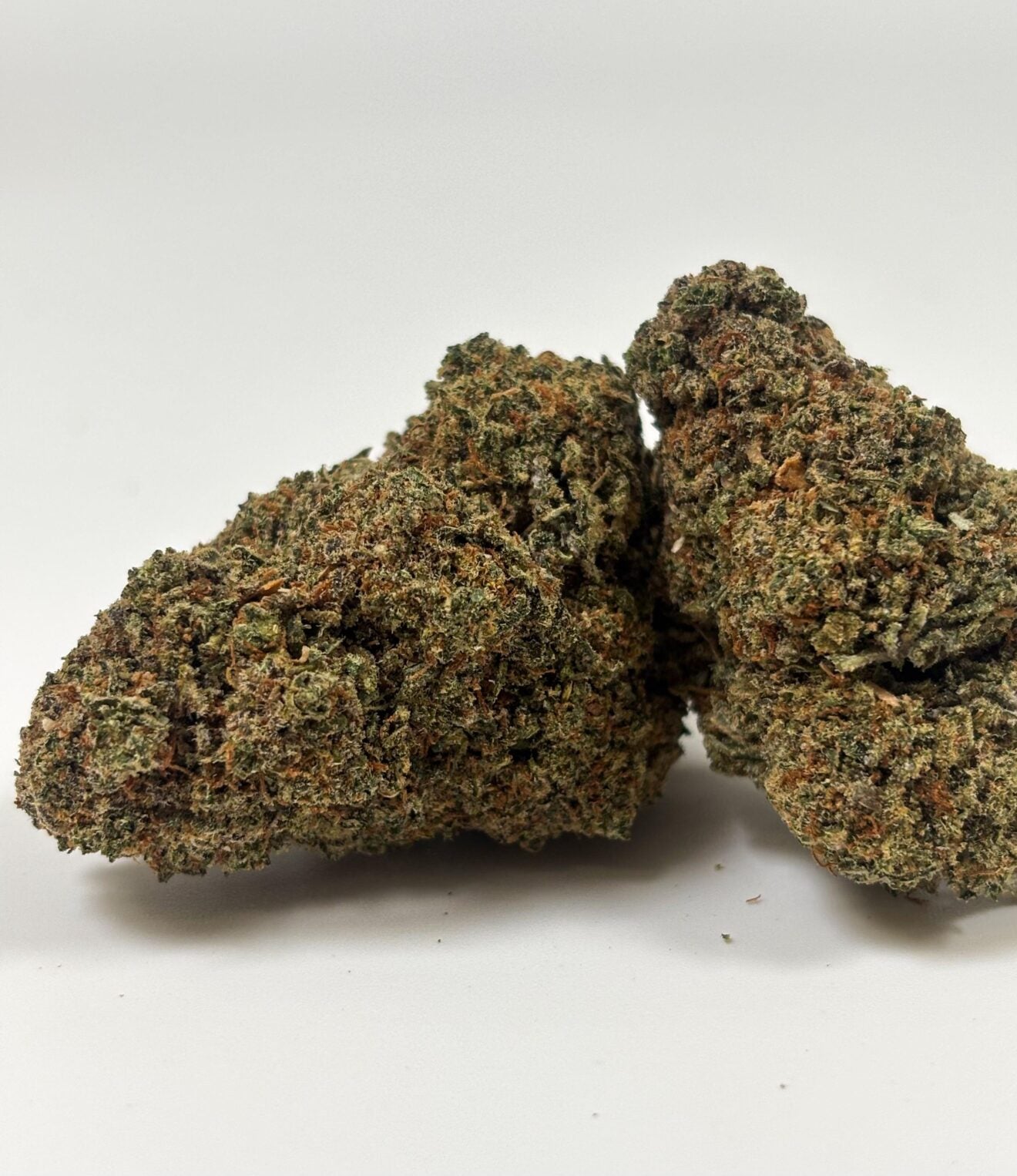 Sorbet – Indoor Hydroponique