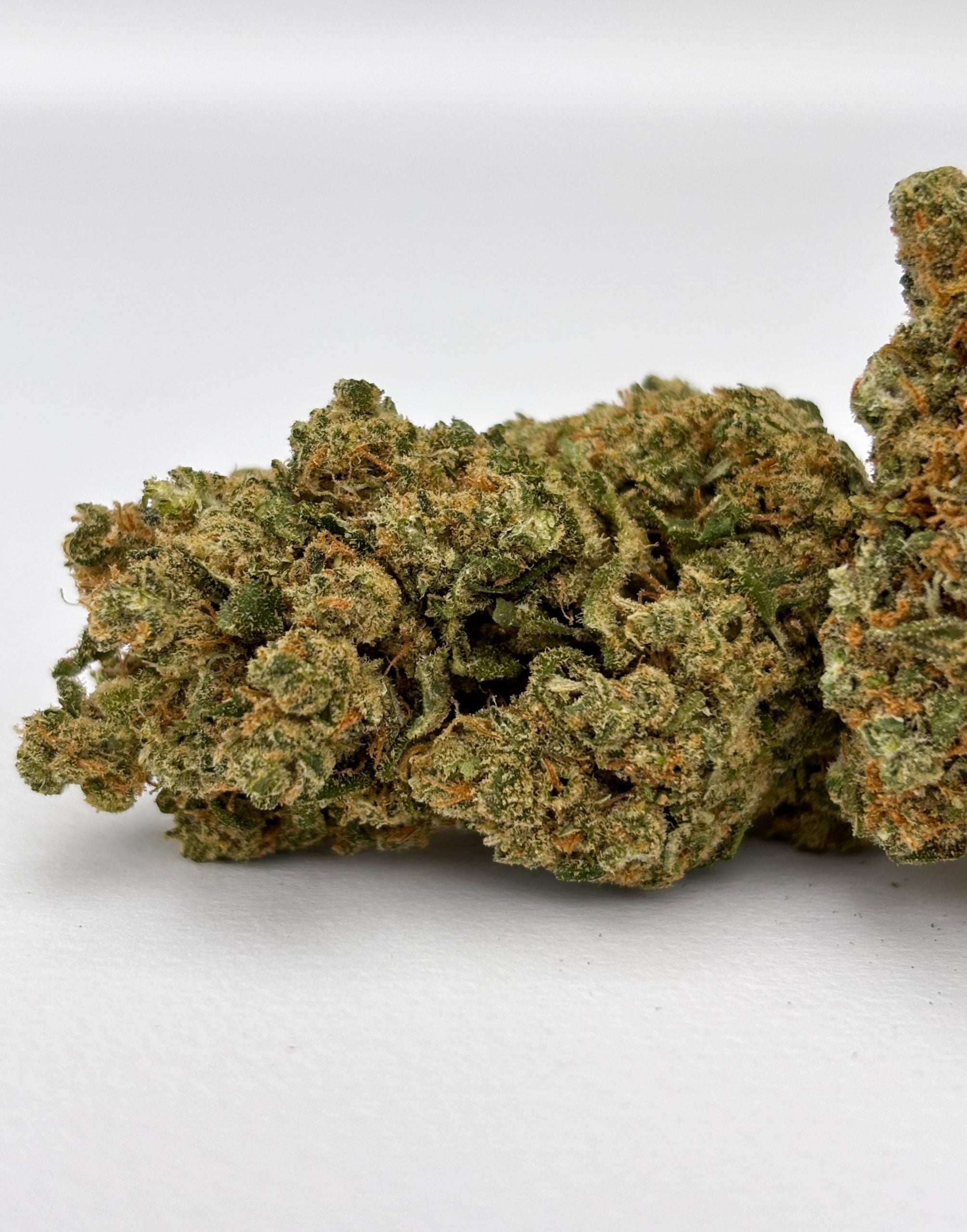 Sour Diesel (GP3) - Indoor Hydroponique