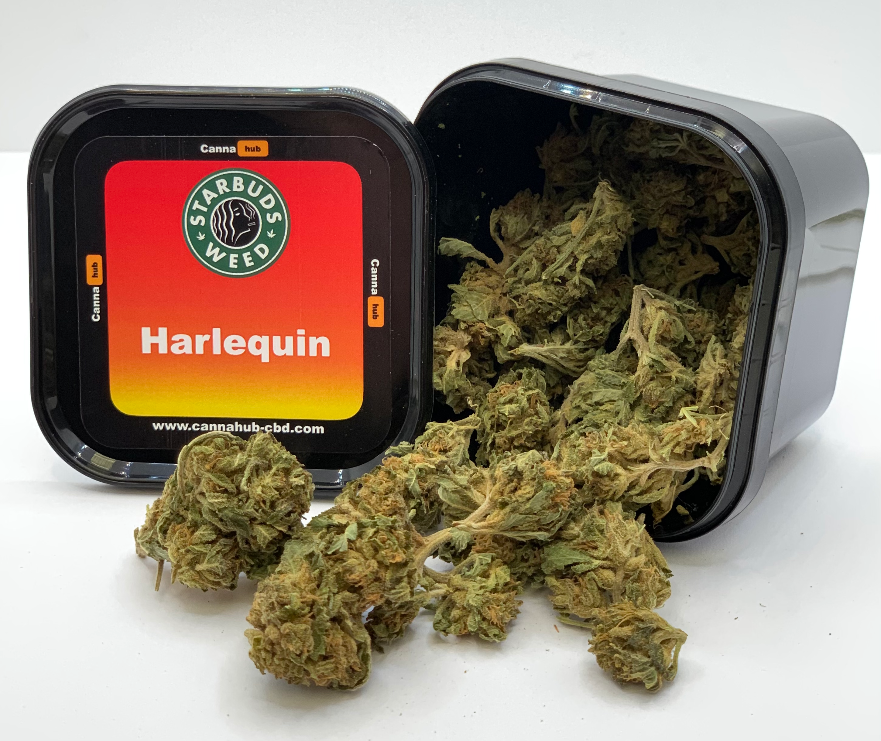 Harlequin
