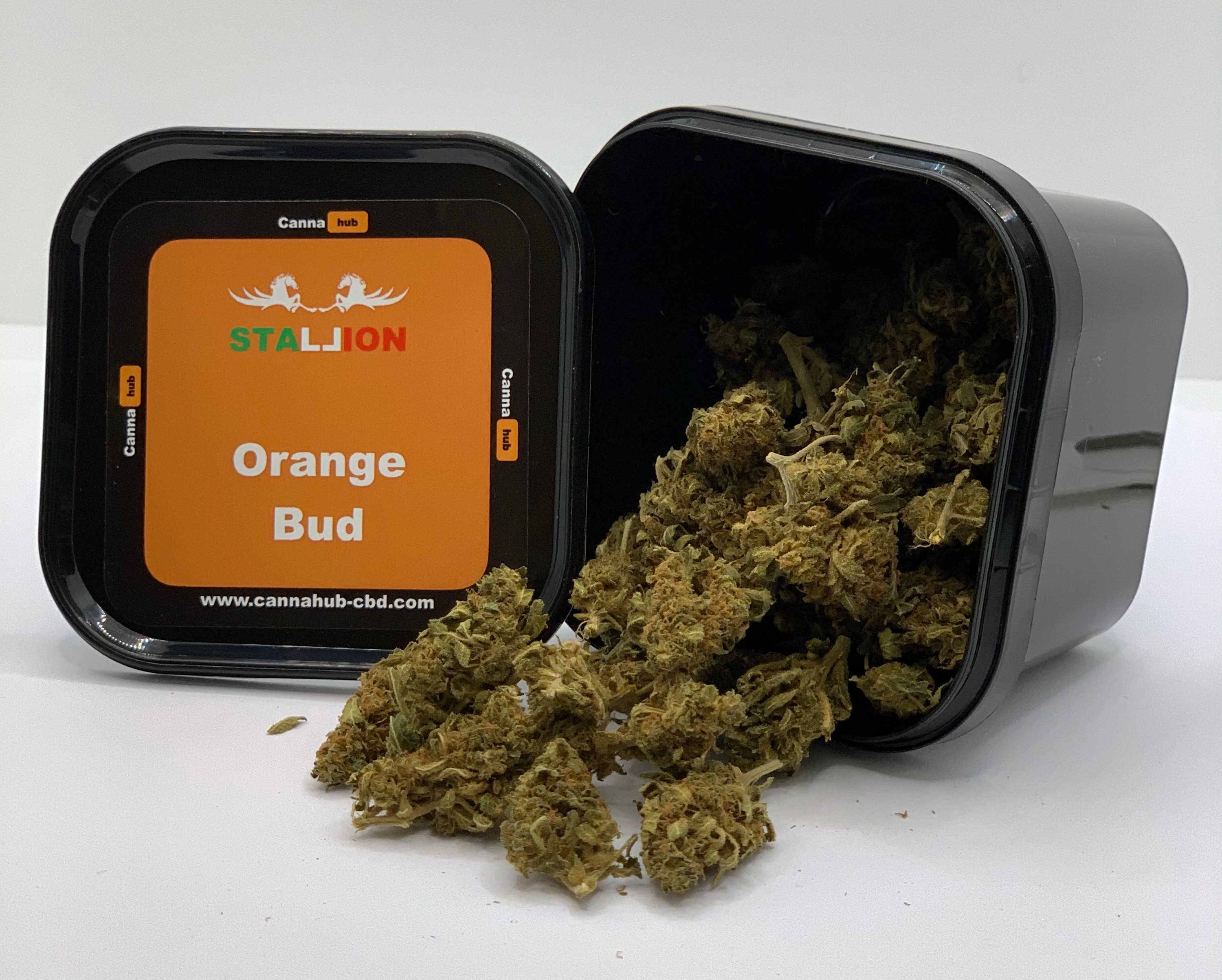 Orange Bud
