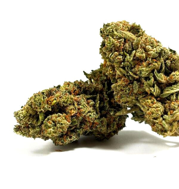 Lemon Candy – Indoor Hydroponique