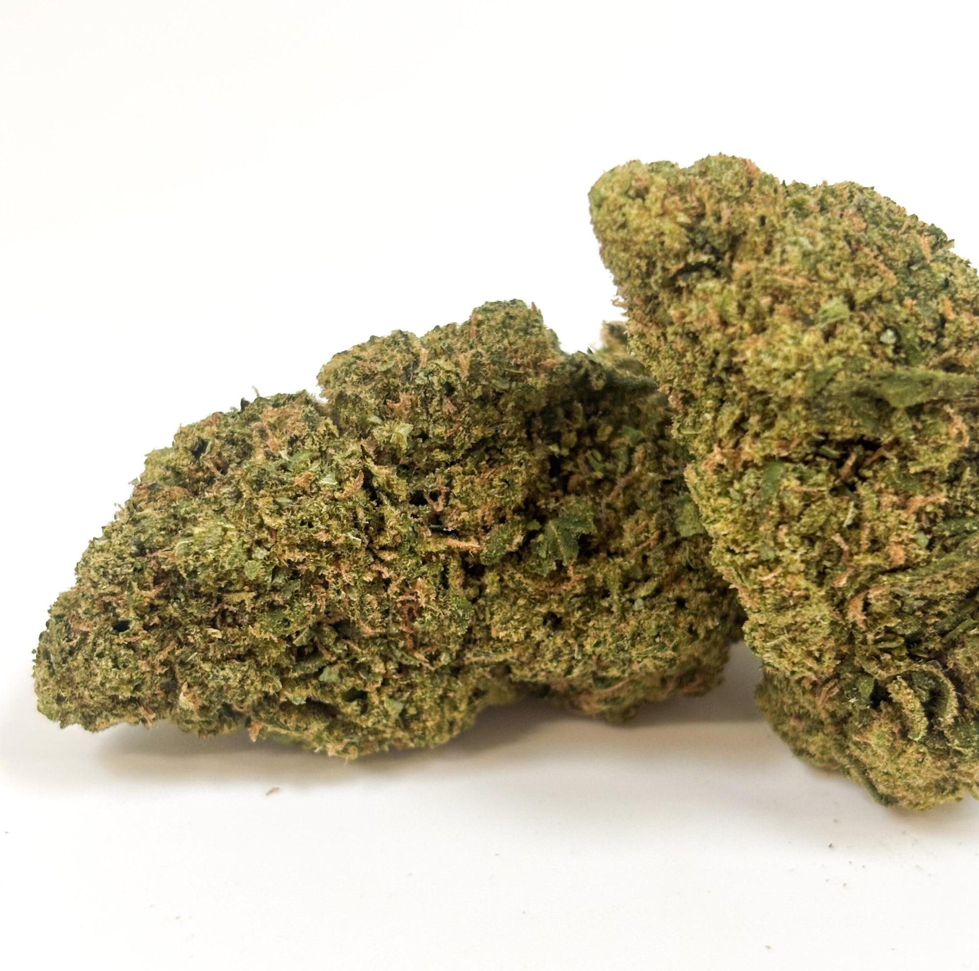 Buddha Cheese – Indoor Hydroponique