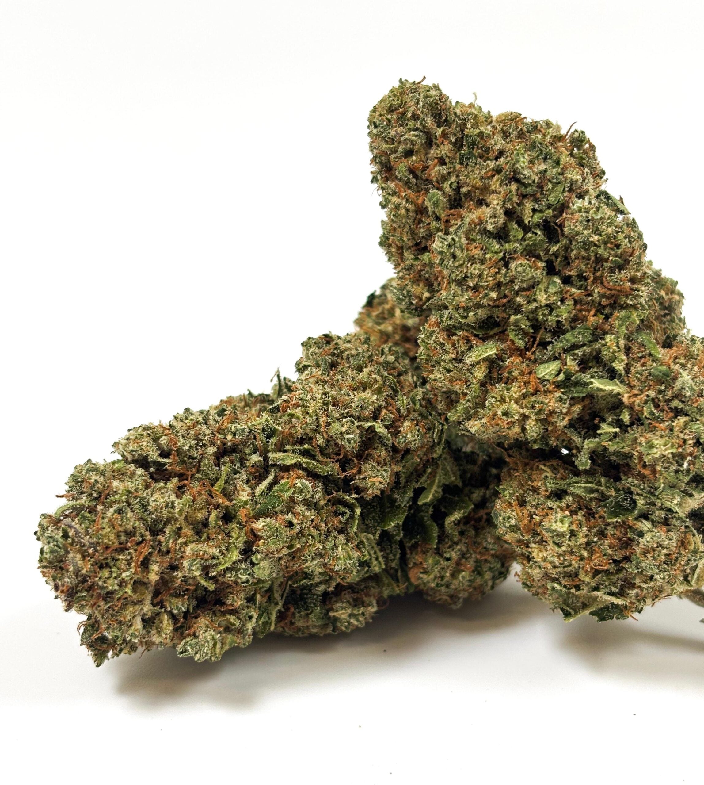 Cookies Cream - Indoor Hydroponique