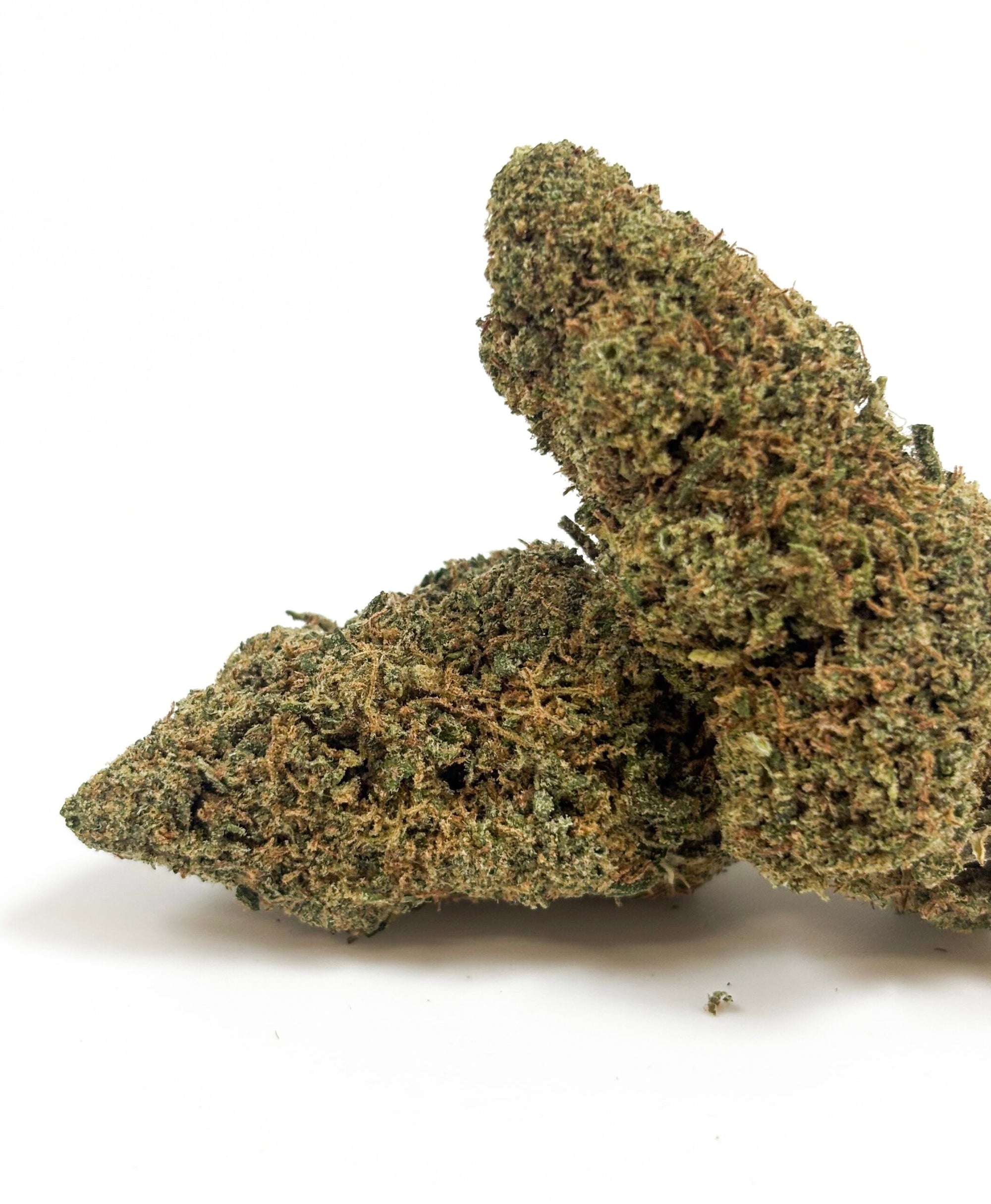 Sunset Haze – Indoor Hydroponique