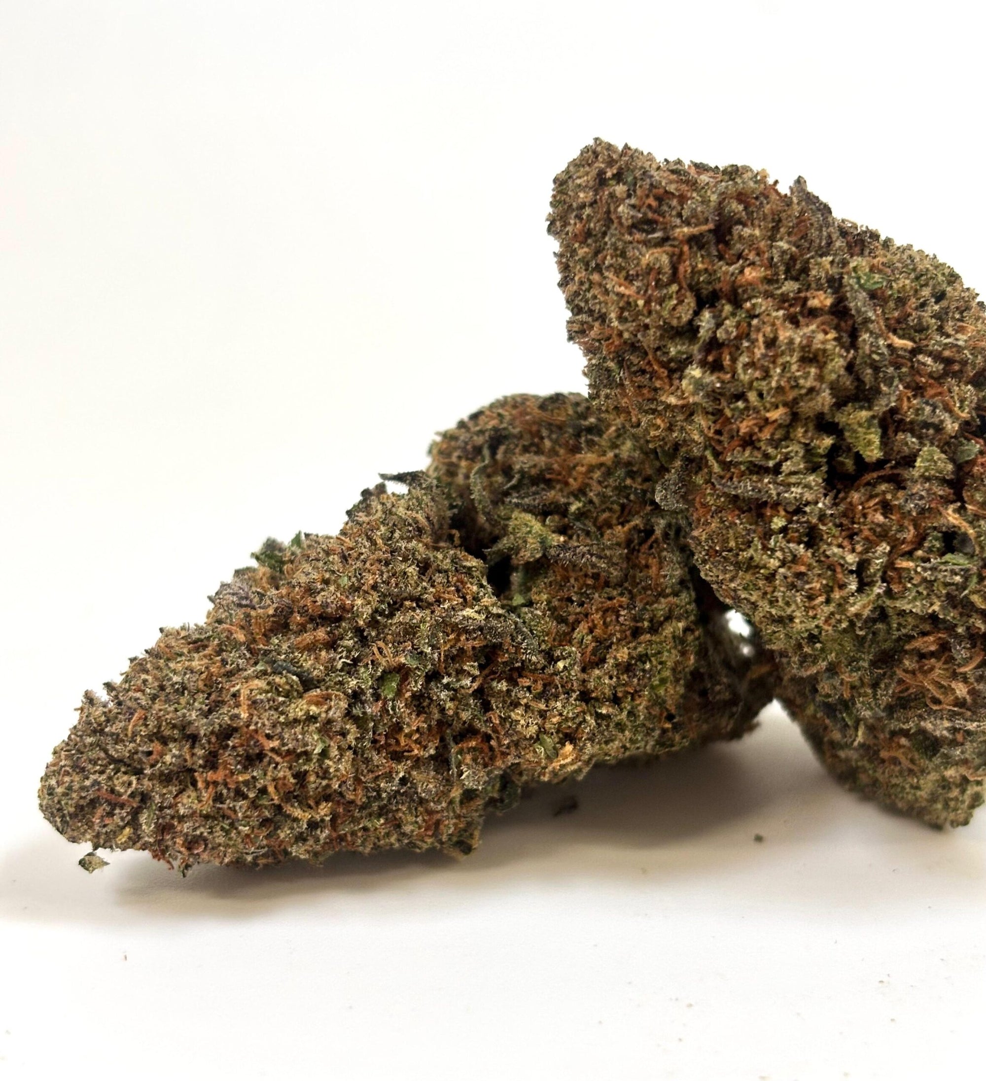 Vanilla Cream – Indoor Hydroponique