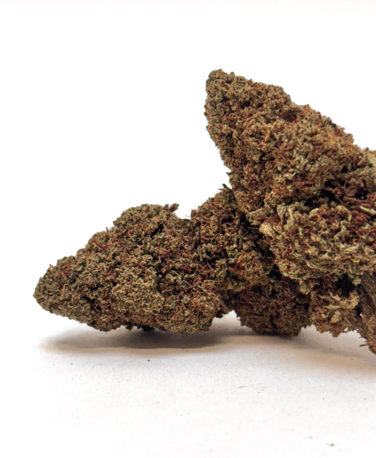 Strawberry Amnesia – Indoor Hydroponique