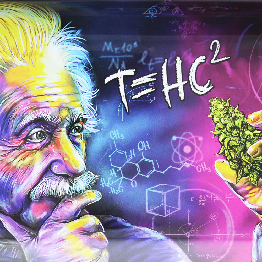 PLATEAU DE ROULAGE ALBERT EINSTEIN (MEDIUM)