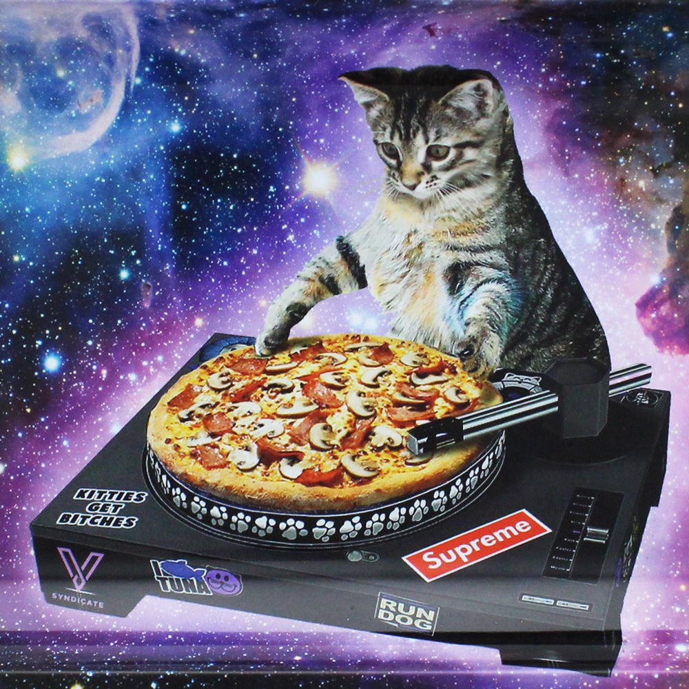 PLATEAU DE ROULAGE DJ CAT (MEDIUM)