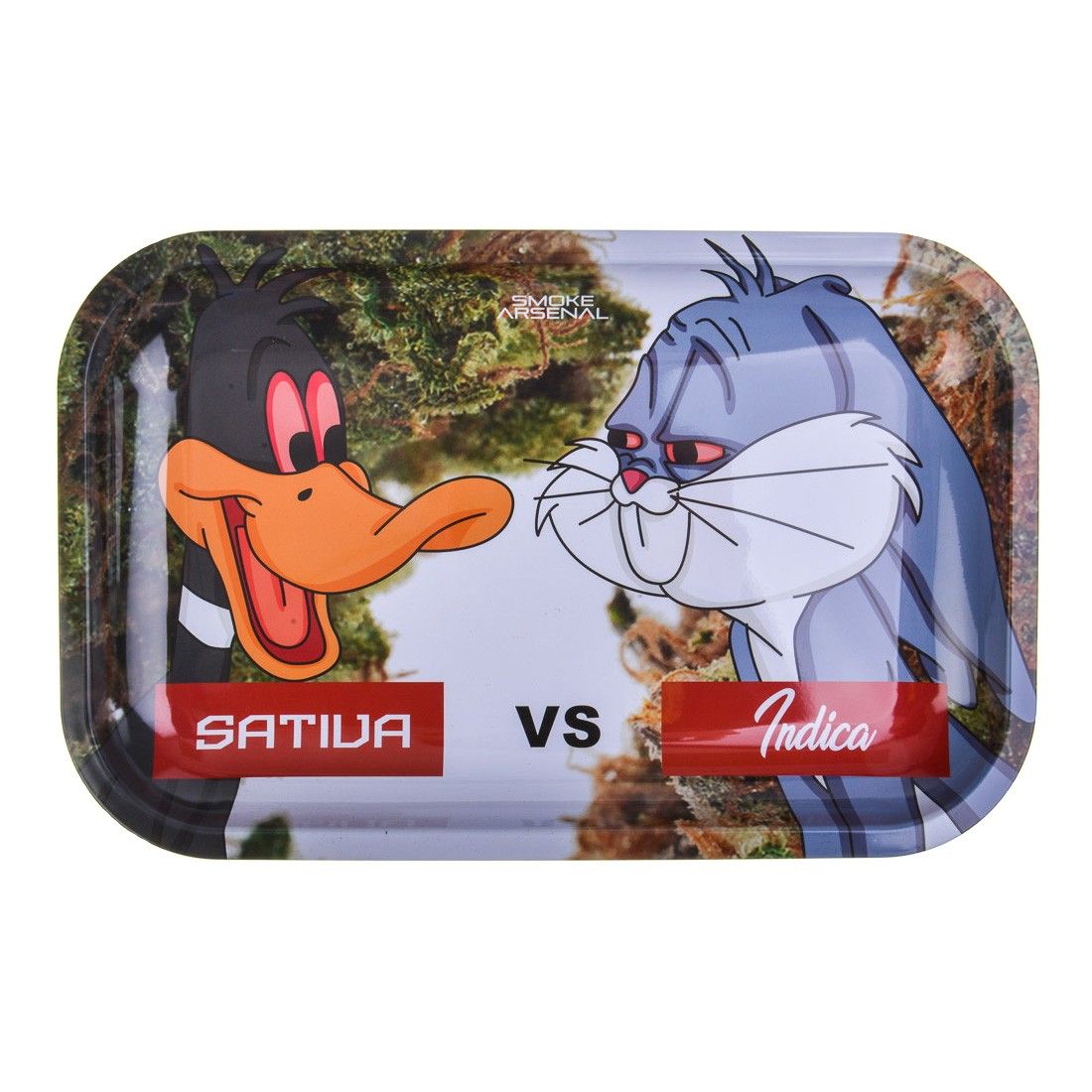 PLATEAU DUCK VERSUS BUNNY (MEDIUM)
