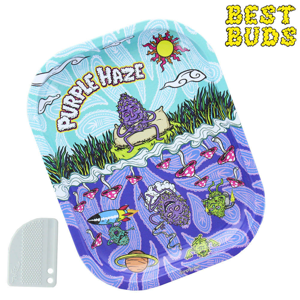 PLATEAU DE ROULAGE BEST BUDS PURPLE HAZE (SMALL)